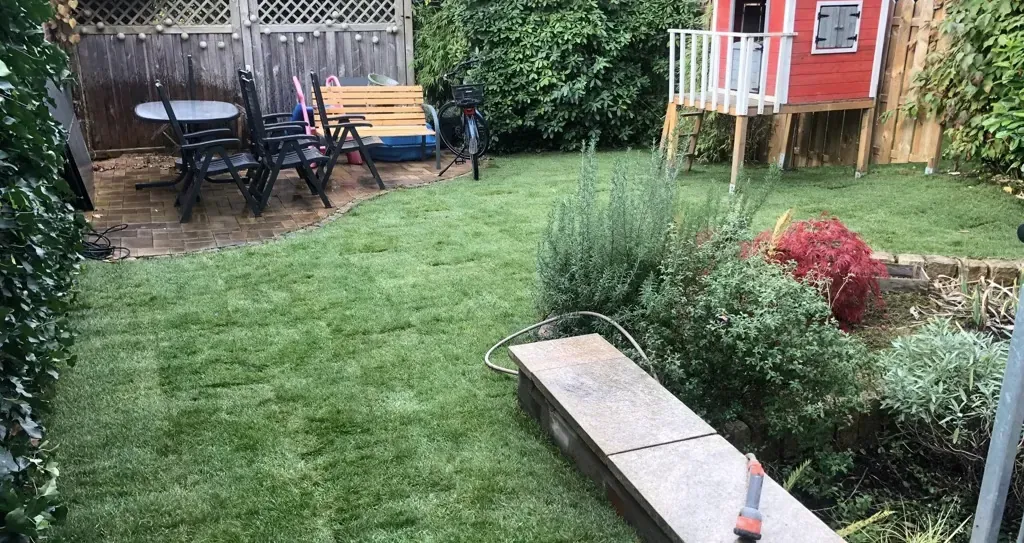 Frisch verlegter Rollrasen in einem Garten, im Hintergrund eine gepflasterte Sitzfläche.